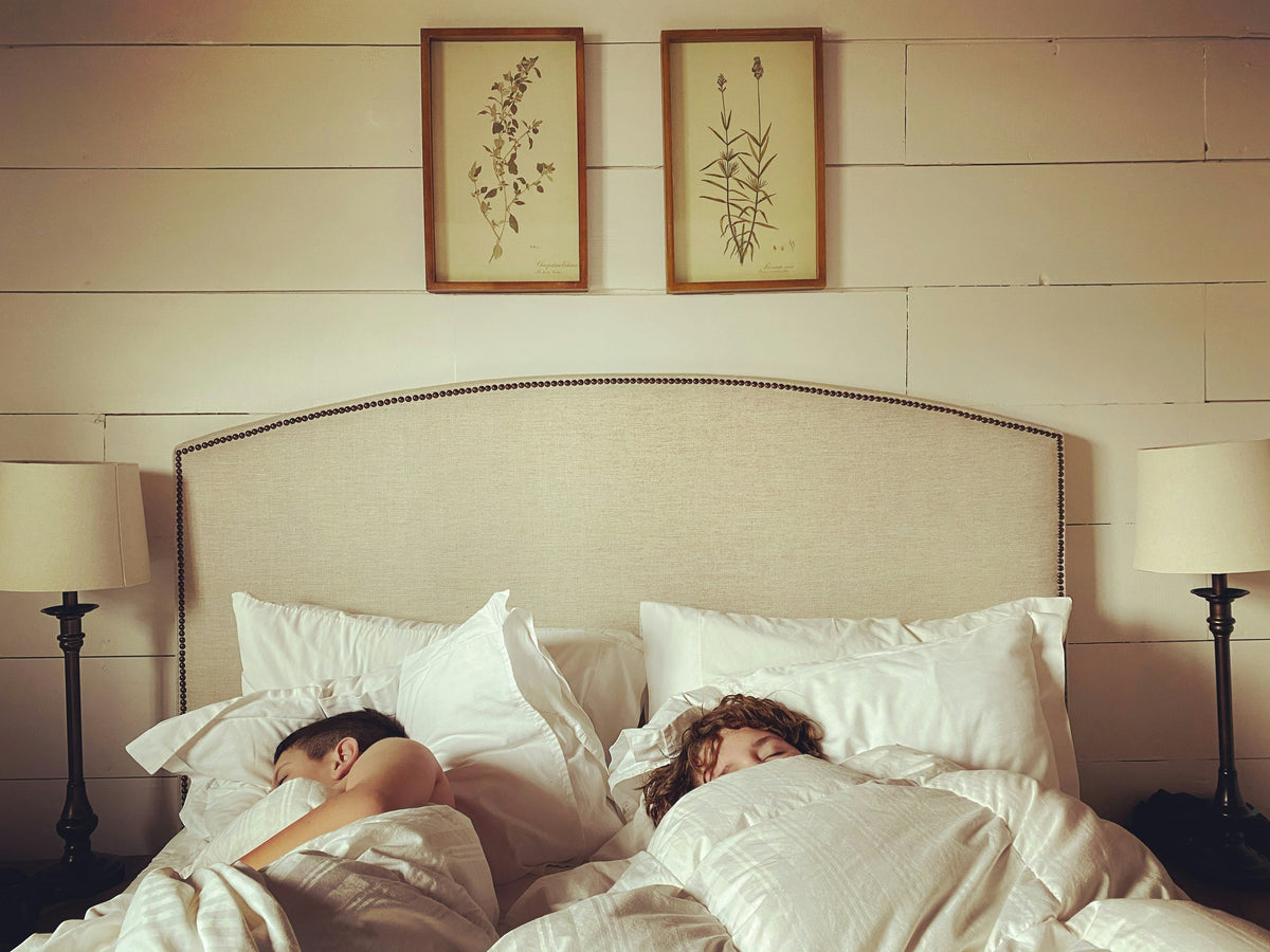 What Are Sex Pillows and What is Their Primary Function?